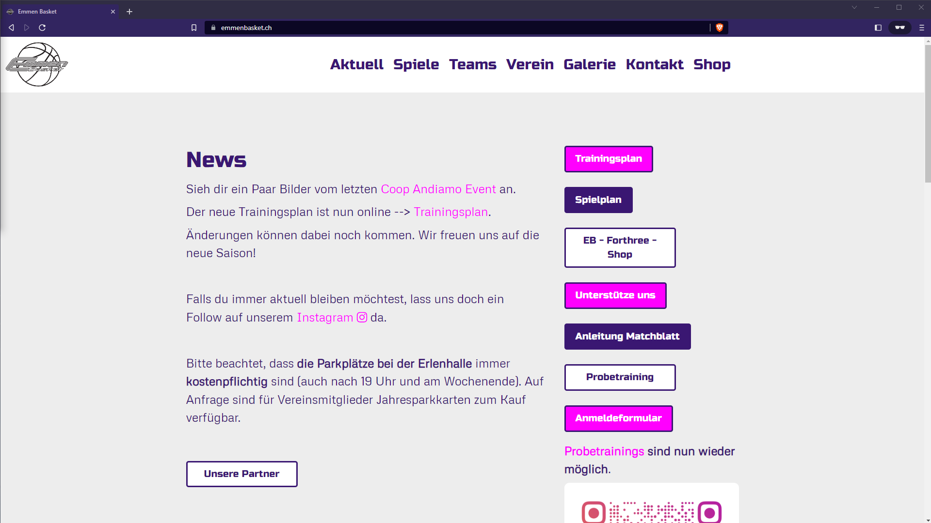 Emmen Basket Frontpage